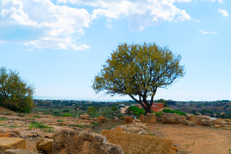 Agrigento valley with ancient greek ruins, Sicily island, Italyの写真素材