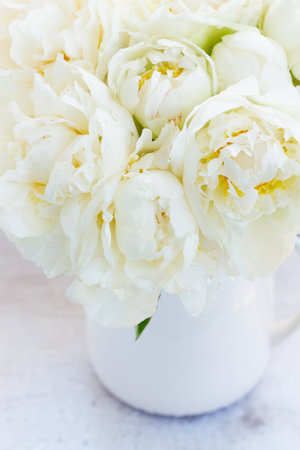 White peony flowers in vase on table close upの写真素材