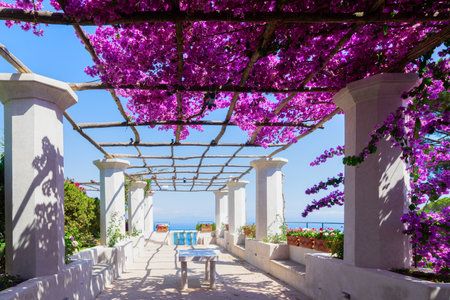 Ravello village gallery with summer flowers, Amalfi coast of Italy, web banner formatの写真素材