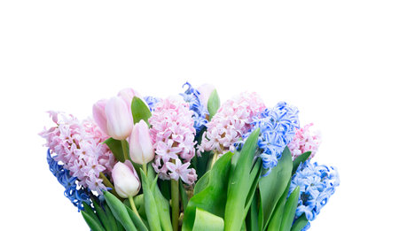 Pastel hyacinths and tulips bouquet, florist arrangement on white background, crisp studio lighting, dewy petals, fresh greenery, minimalist compositionの写真素材