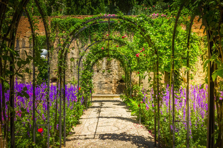 Archway in the Generalife gardens of the Alhambra palace of Granada, Spain