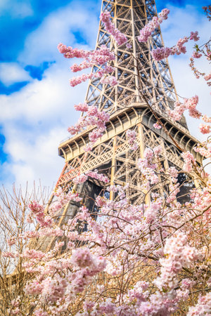 Eiffel Tower with blooming spring flowers, Paris, France