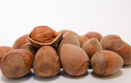 Hazelnutsの写真素材