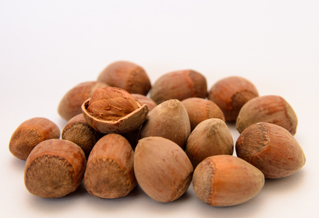 Hazelnutsの写真素材