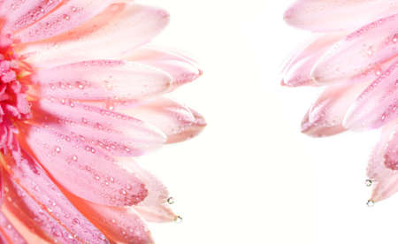 Abstract floral frameの写真素材