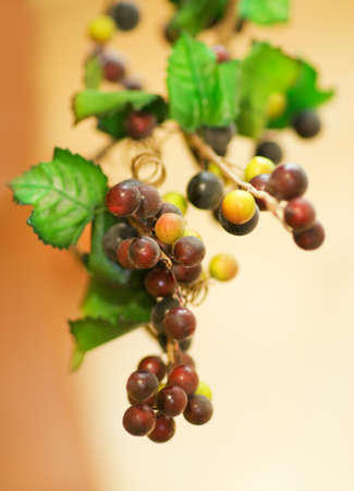 Bunch of grapesの写真素材