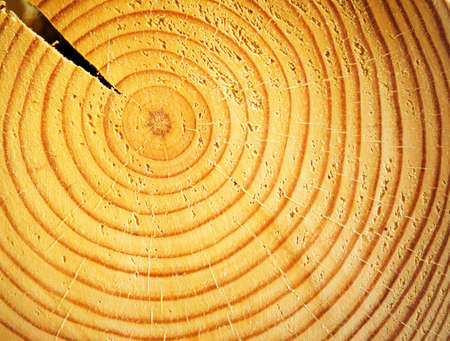 Abstract wooden textureの写真素材