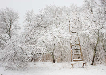 Winter landscapeの写真素材