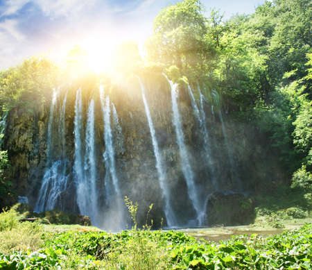 Sunrise over waterfall in wild forestの写真素材