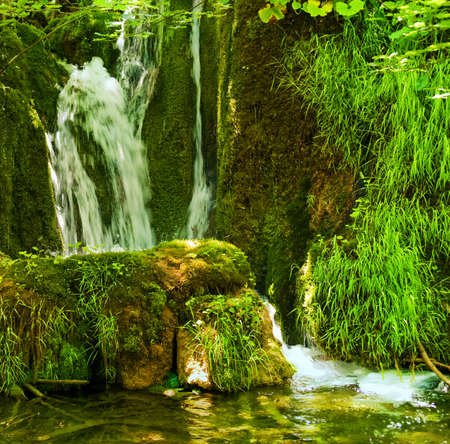 Waterfall in the forestの写真素材