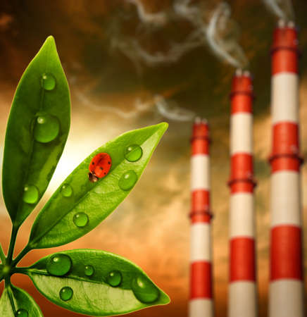 Ecology in dangerの写真素材