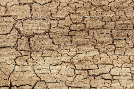 Abstract wooden textureの写真素材