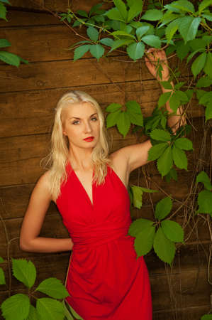 Attractive woman outdoor

の写真素材