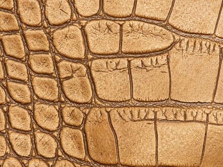 Picture of a genuine leather texture

