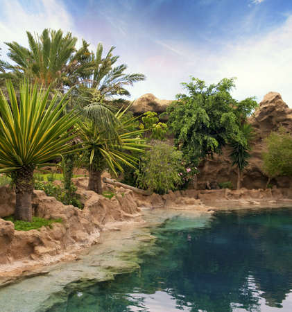 Picture of a tropical backgroundの写真素材