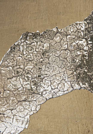 Abstract grunge texture 

の写真素材