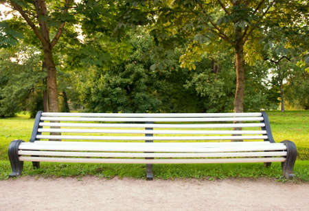 Bench in the parkの写真素材
