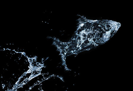 Stylish water splash. Isolated on black background の写真素材