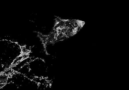 Stylish water splash. Isolated on black background の写真素材