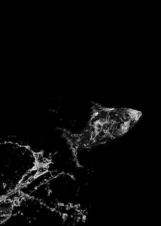 Stylish water splash. Isolated on black background の写真素材