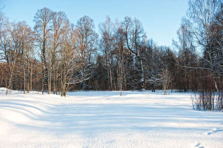 Winter scenicの写真素材