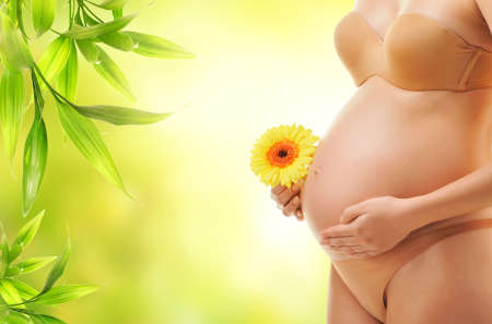 Beautiful body of a pregnant woman 
の写真素材