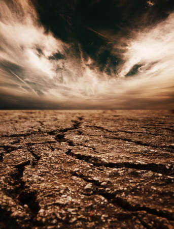 Desert background