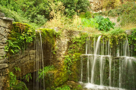 Waterfall in the forest
の写真素材