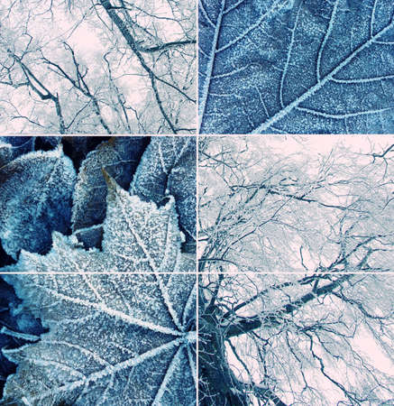 Winter collageの写真素材