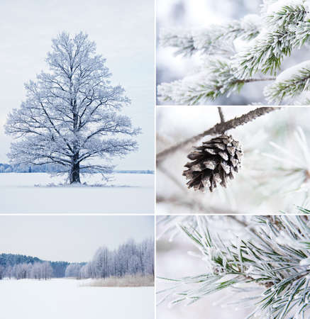 Winter collageの写真素材