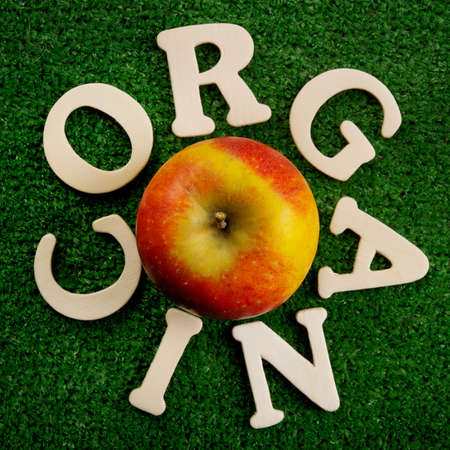 Thw word organic written on green backgroundの写真素材