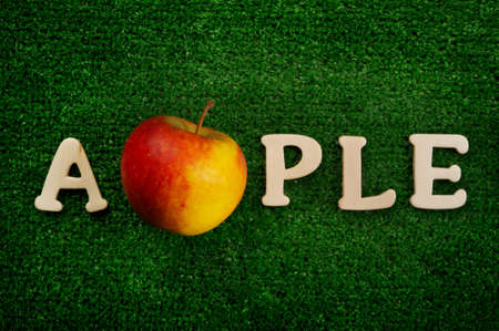The word apple written on green backgroundの写真素材