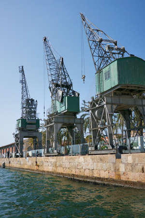 Cranes against blue skyの写真素材