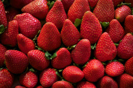 Fresh strawberry backgroundの写真素材