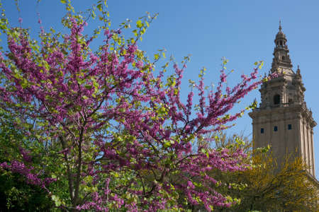 View to the castleの写真素材