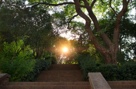 Stair in a beautiful park.の写真素材