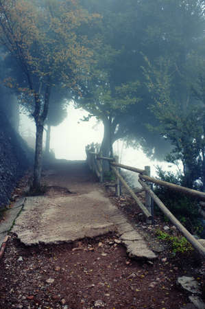 Old road in the mountains.の写真素材