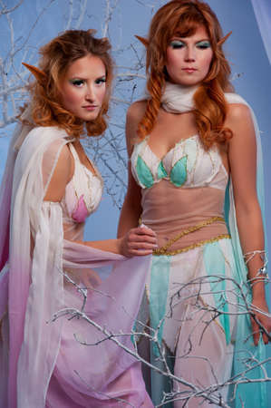 Elves in magical winter forest.の写真素材