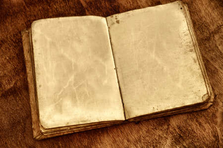Opened vintage book with blank pages 