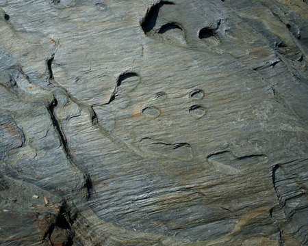 Abstract rocky texture.の写真素材