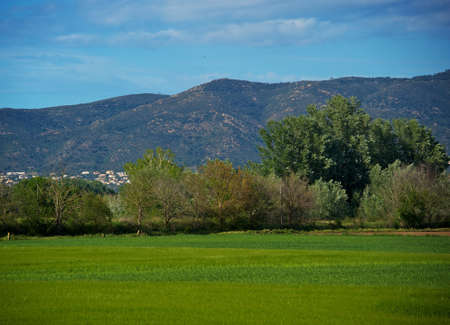 Mountain view.の写真素材