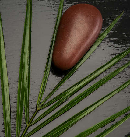 Spa still lifeの写真素材