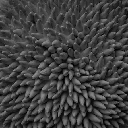 Architecture details close-upの写真素材