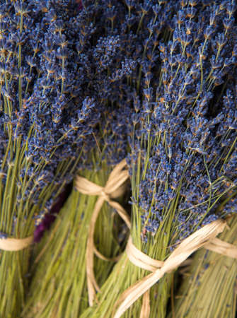 Bunch of lavender flowersの写真素材
