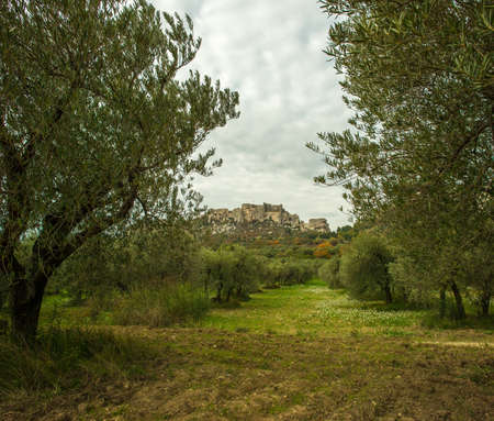 Old castle viewの写真素材