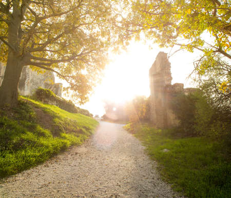 Walkway on sunny dayの写真素材