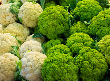 Close-up view of cauliflowers の写真素材
