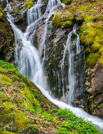 Fast little river in mountain forest
