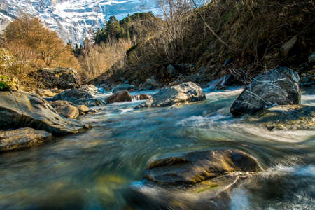 Fast river in mountain forest の写真素材