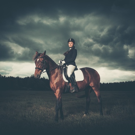 Beautiful girl sitting on a horse outdoors against moody sky